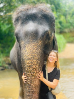 /album/fotogaleria-sri-lanka-vy-a-my/sri-lanka-maldivy-zajazd-218-jpg3/